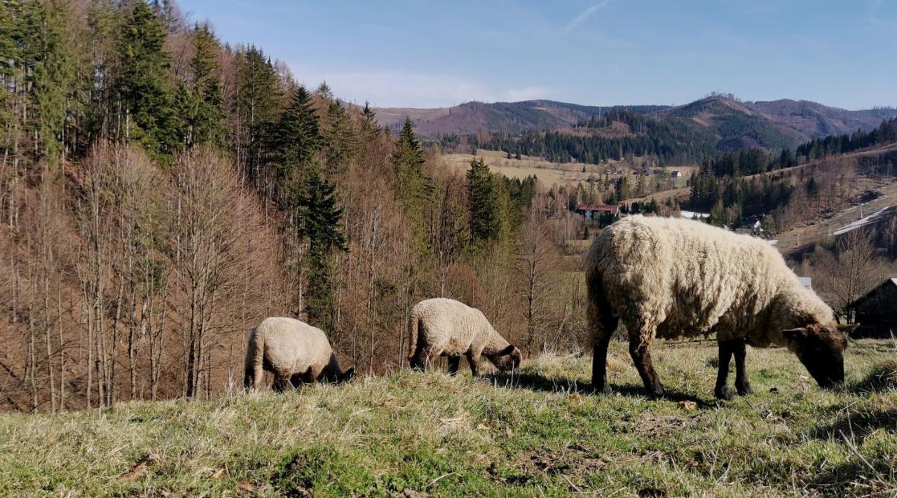 Penzion Rzehaczek Dolni Lomna Luaran gambar