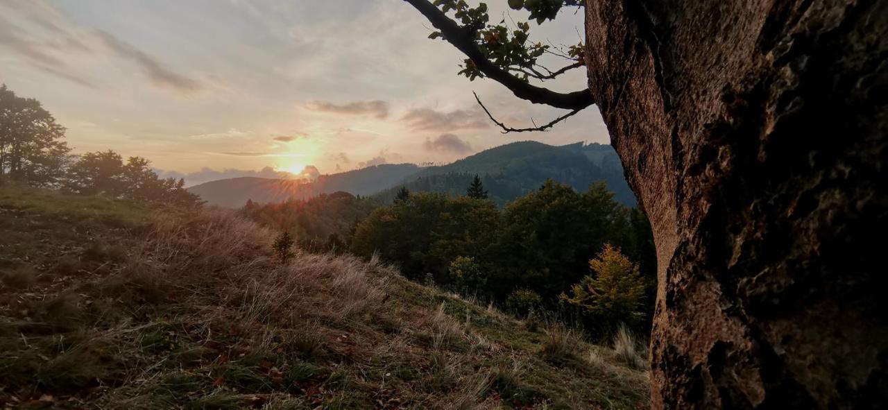 Penzion Rzehaczek Dolni Lomna Luaran gambar