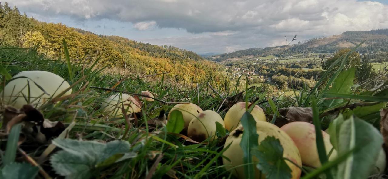 Penzion Rzehaczek Dolni Lomna Luaran gambar