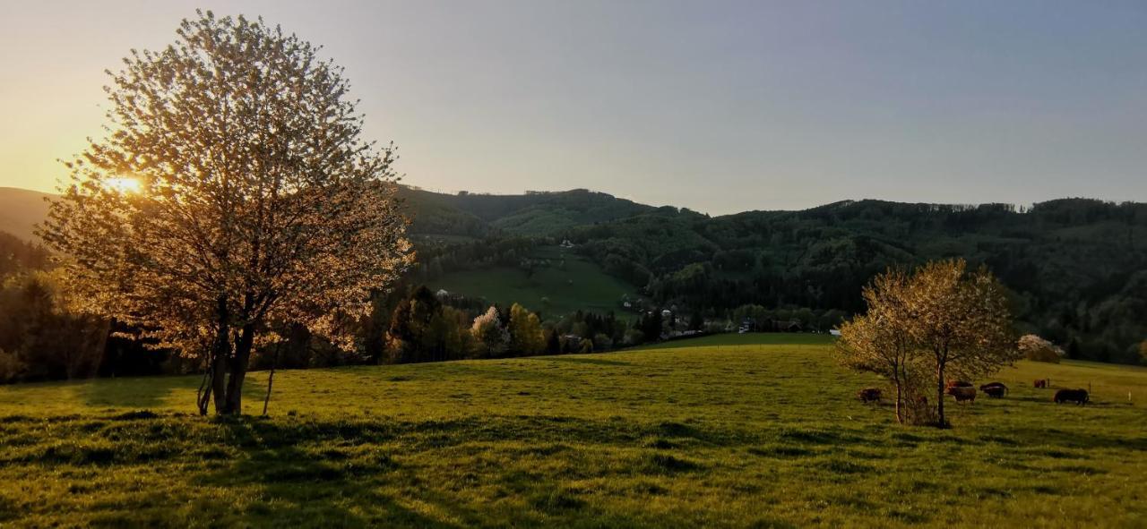 Penzion Rzehaczek Dolni Lomna Luaran gambar
