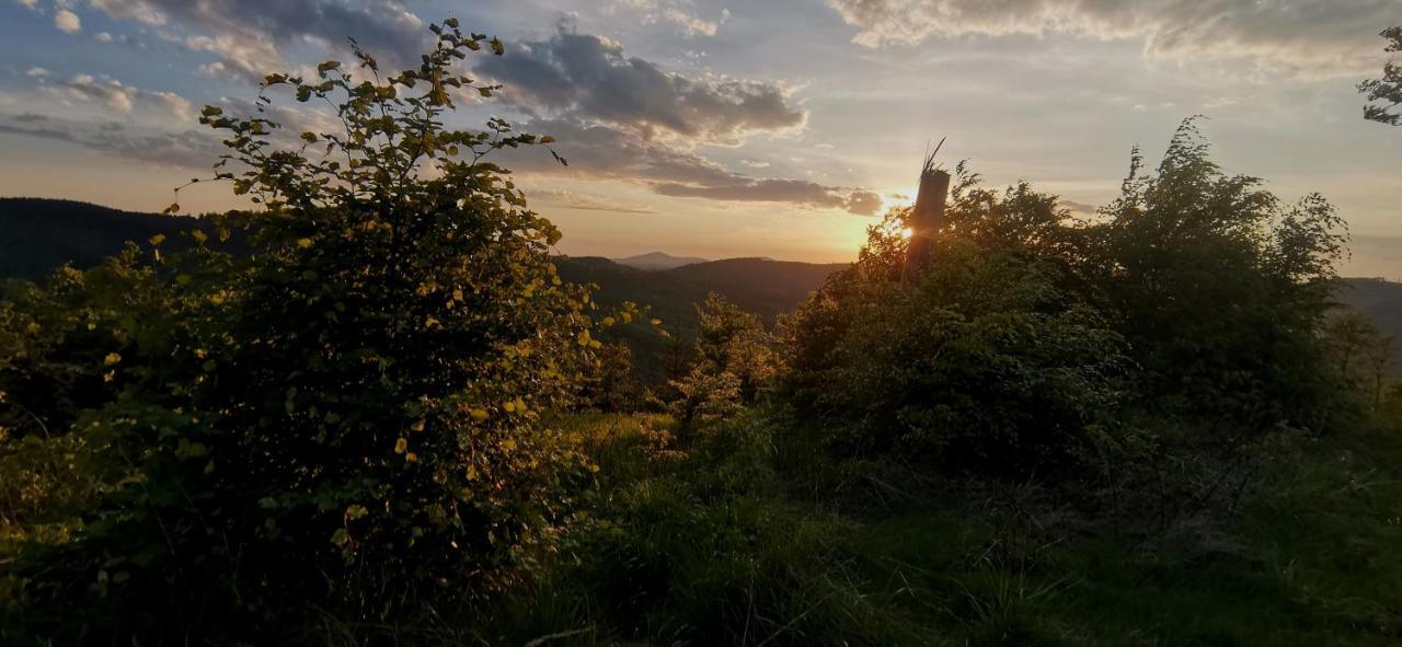 Penzion Rzehaczek Dolni Lomna Luaran gambar