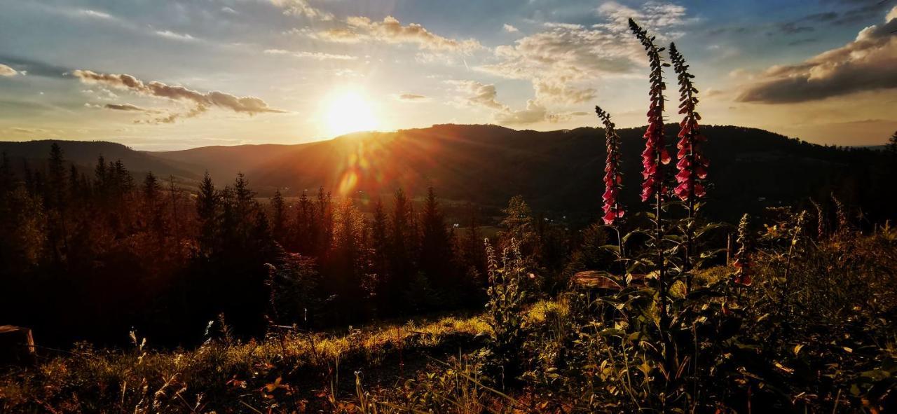Penzion Rzehaczek Dolni Lomna Luaran gambar