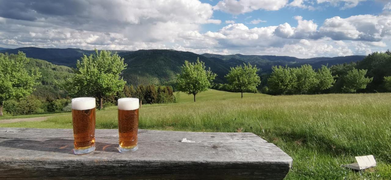 Penzion Rzehaczek Dolni Lomna Luaran gambar